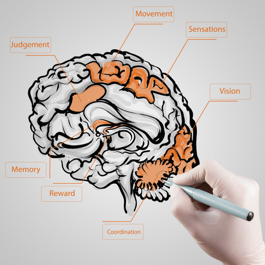 Apprendimento: come cambia il nostro cervello? | Neocogita